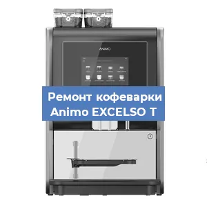 Замена прокладок на кофемашине Animo EXCELSO T в Ижевске